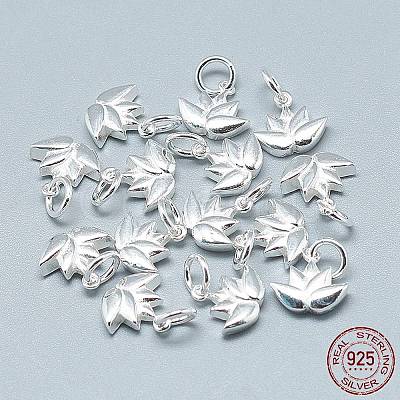 925 Sterling Silver Charms X-STER-T002-117S-1