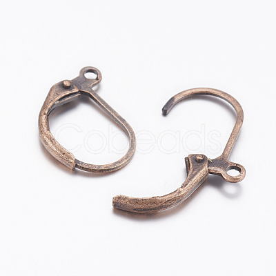 Brass Leverback Earring Findings X-EC223-NFR-1
