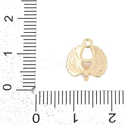 Brass Micro Pave Cubic Zirconia Charms ZIRC-P122-01B-G01-1