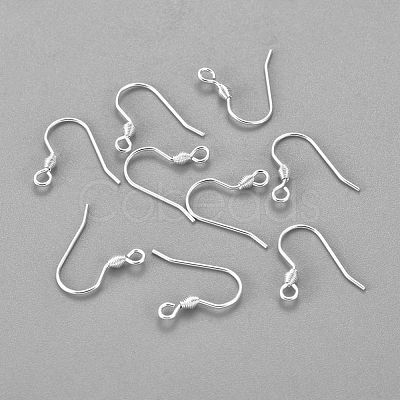 304 Stainless Steel Earring Hooks X-STAS-H436-04S-1