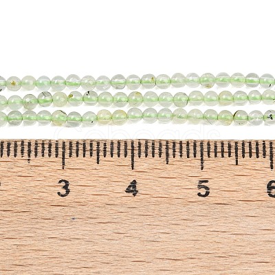 Natural Prehnite Beads Strands G-C255-B03-2mm-1