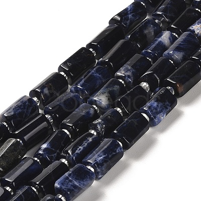Natural Sodalite Beads Strands G-N327-06-28-1