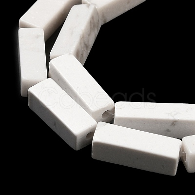 Synthetic Howlite Beads Strands G-K340-D06-01-1