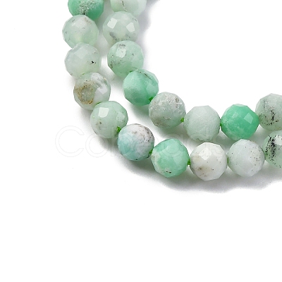 Natural Chrysoprase Beads Strands G-G195-A02-03-1