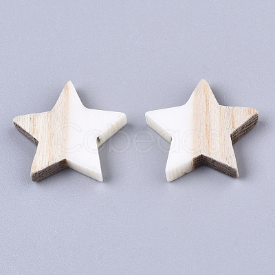 Resin & Wood Cabochons RESI-R425-02I-1