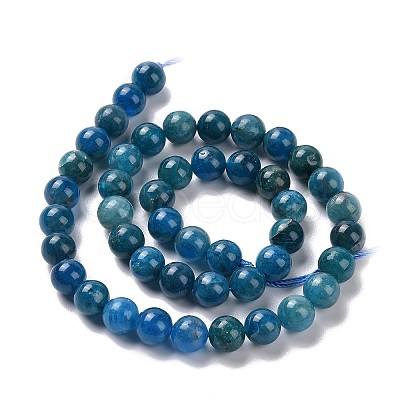 Natural Apatite Beads Strands G-P132-04-8mm-1