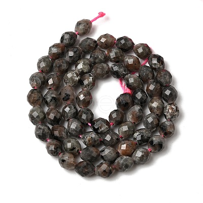 Natural Syenite Beads Strands G-K376-F09-01-1