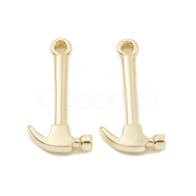 Alloy Pendants PALLOY-K003-10LG-1