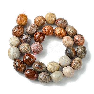 Natural Fossil Coral Beads Strands G-G117-A01-01-1