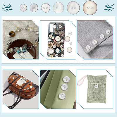 120Pcs 6 Styles Dyed Natural Shell Buttons BUTT-WR0001-42A-1