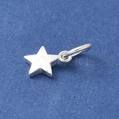 S925 Sterling Silver Pendant STER-H115-03C-S-1