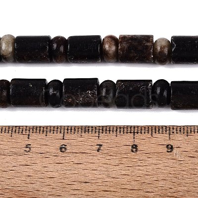 Natural Biotite Beads Strands G-Q616-09B-1