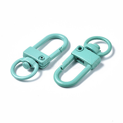 Spray Painted Eco-Friendly Alloy Swivel Snap Hooks Clasps LS-PALLOY-T080-02D-NR-1