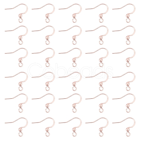 316 Surgical Stainless Steel Earring Hooks STAS-P220-13RG-1