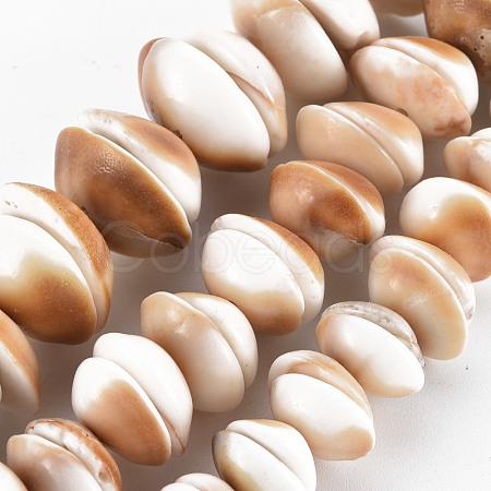 Natural Shell Beads Strands SSHEL-N034-100-1