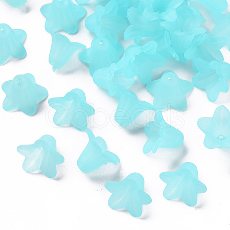 Transparent Acrylic Beads PLF018-13-1
