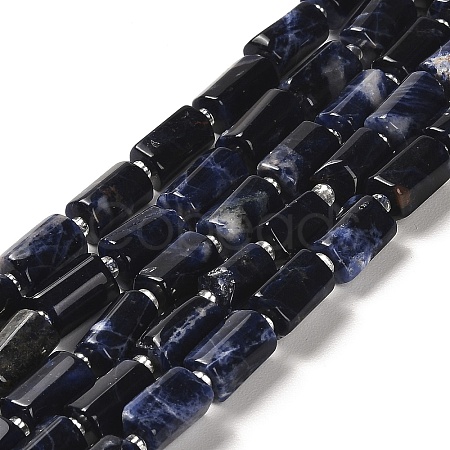 Natural Sodalite Beads Strands G-N327-06-28-1