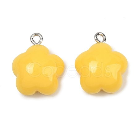 Opaque Resin Pendants RE-CBAF00C-12C-1