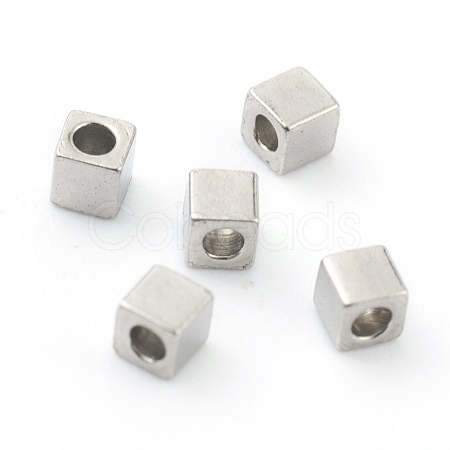 Non-Tarnish 304 Stainless Steel Beads STAS-H160-01B-P-1