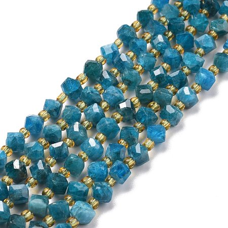 Natural Apatite Beads Strands G-P463-29-1