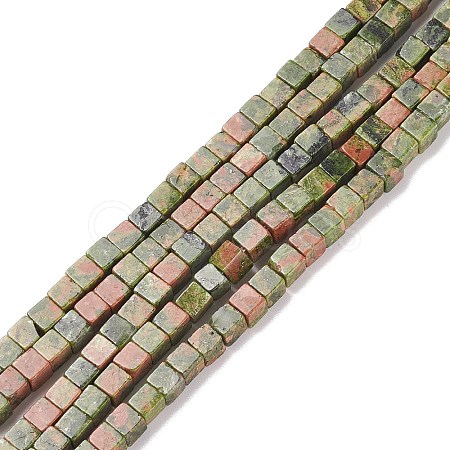 Natural Unakite Beads Strands X-G-F631-K19-1