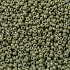 MIYUKI Round Rocailles Beads X-SEED-G008-RR4474-3