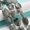 Natural Labradorite Beads Strands G-P528-M10-01-2