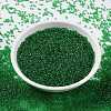 MIYUKI Round Rocailles Beads X-SEED-G009-RR0146-3
