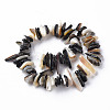 Natural Black Lip Shell Bead Strands SSHEL-N304-102-2