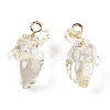 Transparent Resin Pendants RESI-E028-01G-09-2