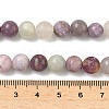Natural Lepidolite/Purple Mica Stone Beads Strands G-F591-28-8mm-5