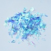 Plastic Candy Sequins/Paillette Chip DIY-I019-01J-2