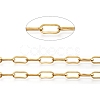 3.28 Feet Ion Plating(IP) 304 Stainless Steel Paperclip Chains X-CHS-D030-02G-1