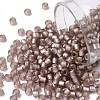 TOHO 8/0 Round Beads SEED-XTR08-0026F-1
