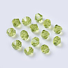 Imitation Austrian Crystal Beads SWAR-F022-6x6mm-252-2