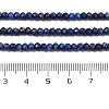 Dyed Natural Lapis Lazuli Beads Strands G-K376-B05-02-5