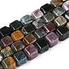 Natural Indian Agate Beads Strands G-N353-03A-02-2