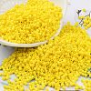 Baking Paint Glass Seed Beads X-SEED-S042-05B-81-1