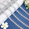 Polyester Lace Ribbon OCOR-WH0078-112B-4
