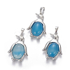 Natural Agate Pendants G-L512-A03-1
