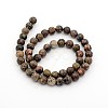 Natural Leopard Skin Jasper Round Bead Strands G-P070-77-10mm-2