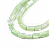 Natural Trochid Shell/Trochus Shell Beads Strands X-SHEL-N003-26-B08-3