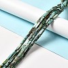 Natural African Turquoise(Jasper) Beads Strands G-F729-01-2