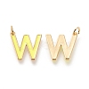 Brass Enamel Pendants KK-R139-02W-2