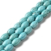 Natural Howlite Beads Strands G-C025-08-1