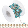 5M Synthetic Turquoise Chips & ABS Plastic Imitation Pearl Beaded Chains & 1Pc Plastic Empty Spools for Wire & 10Pcs & 30Pcs Long-Lasting Plated Brass Open Jump Rings DIY-SC0028-26-1