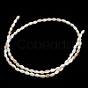 Natural Freshwater Shell Beads Strands SHEL-C010-03A-3