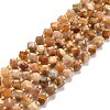Natural Fossil Coral Beads Strands G-P463-48-1