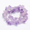 Natural Amethyst Beads Strands G-P322-09-2
