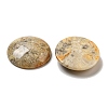 Natural Crazy Agate Cabochons G-C115-02B-23-2